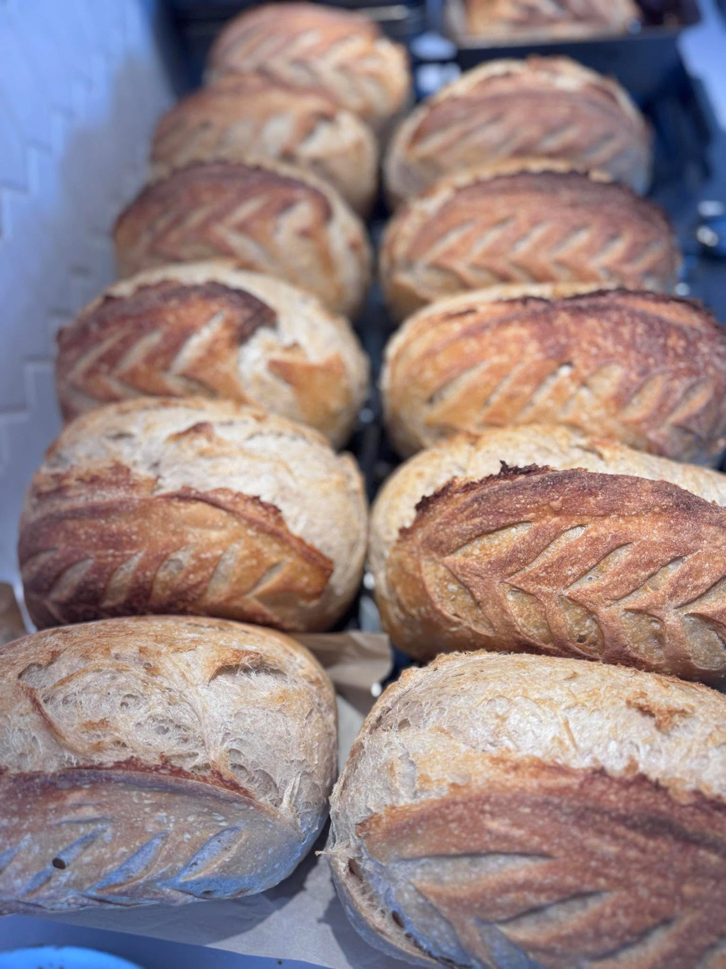 Intro to Sourdough Making Feb 5th 6pm