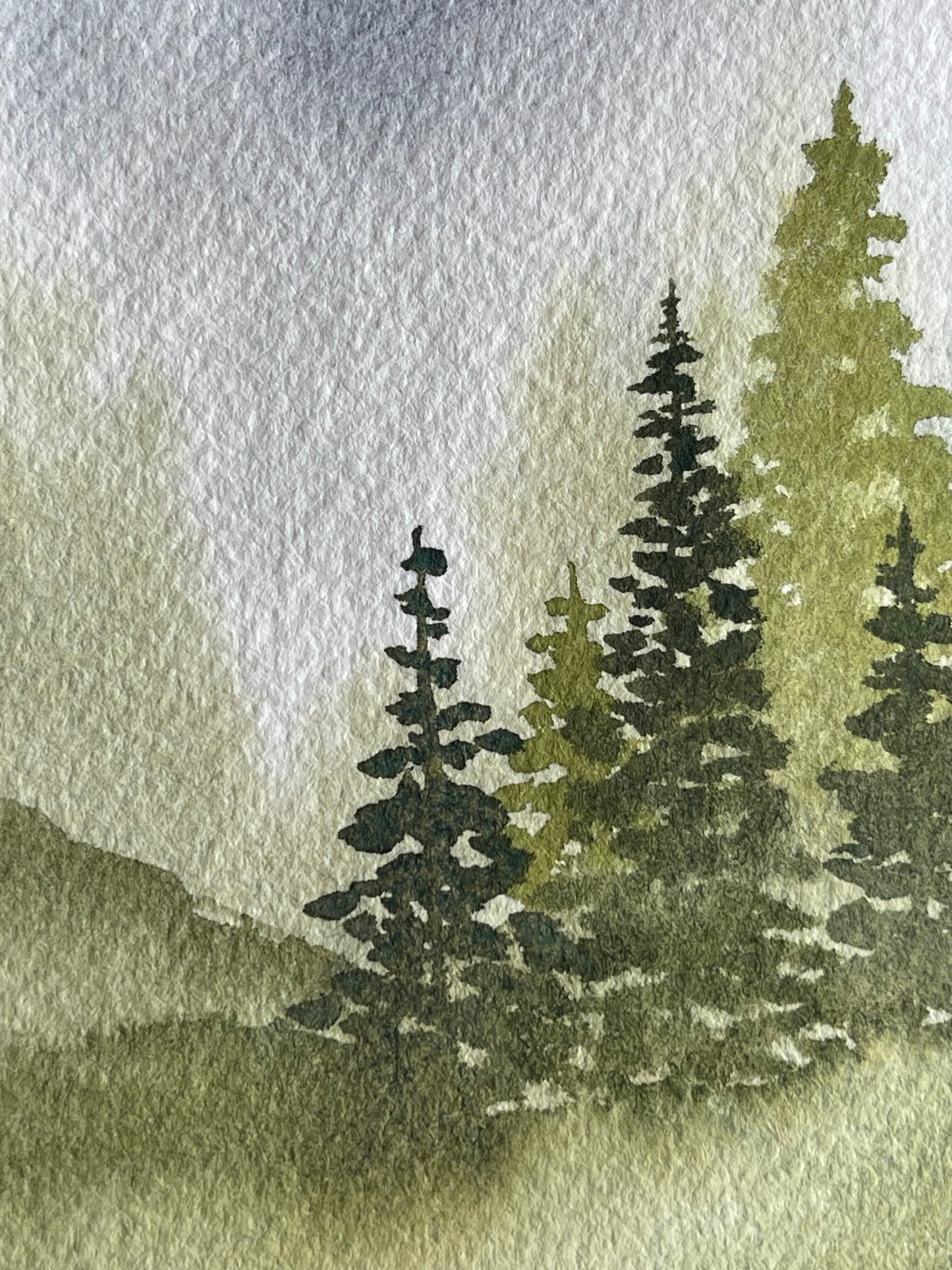 Watercolor 101 Dec 17 - 6pm