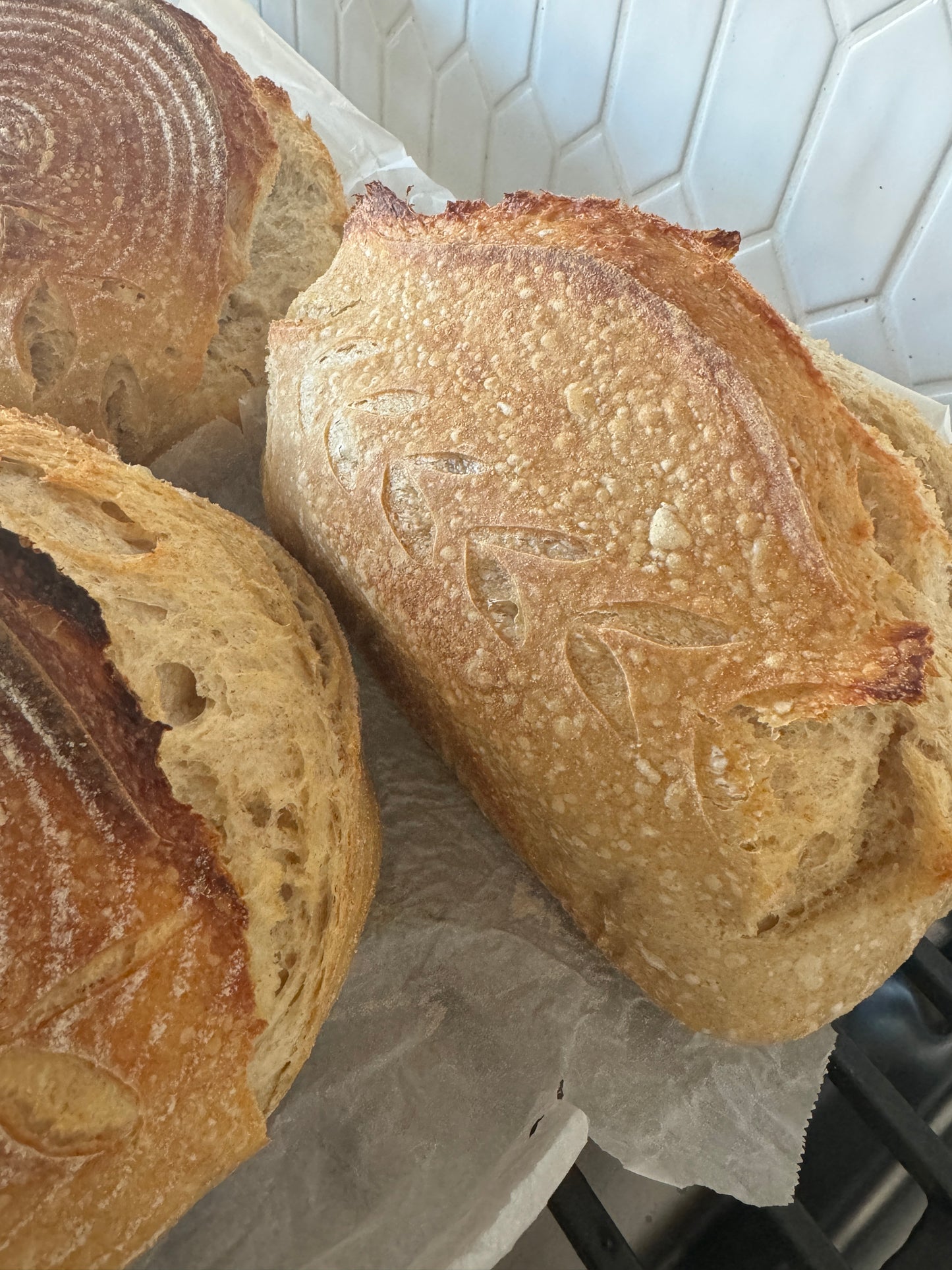 Intro to Sourdough - September 24th 6PM