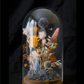 Terrarium Dreams Nov 13 - 6pm