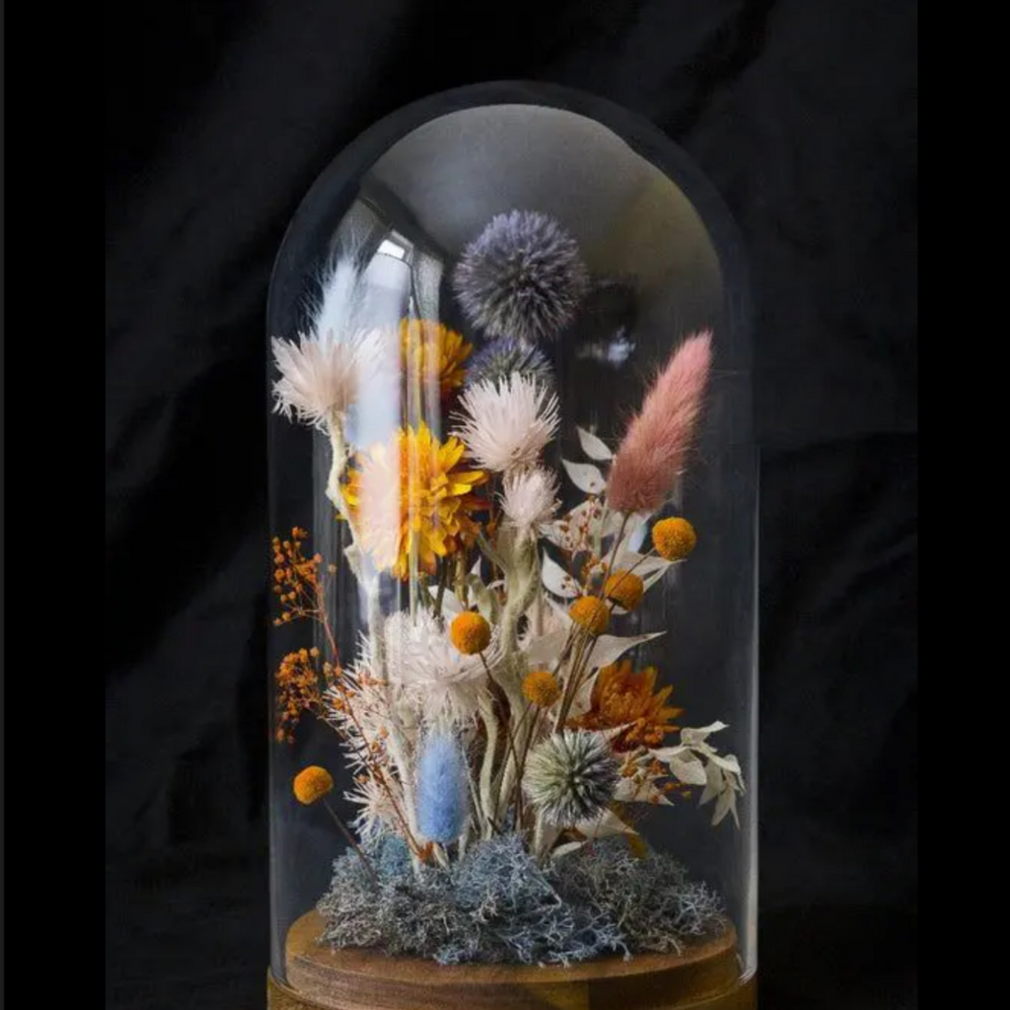 Terrarium Dreams Nov 13 - 6pm