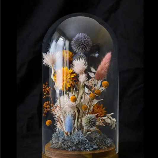Terrarium Dreams Nov 13 - 6pm