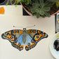Watercolor 101 - July 10th 6PM
